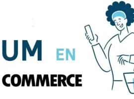 Como-integrar-Bizum-en-WooCommerce-1280x720-1-1-thegem-blog-justified