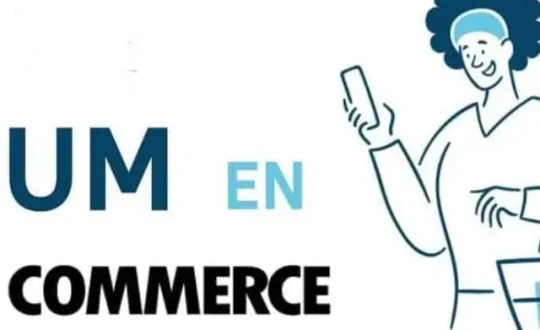 Como-integrar-Bizum-en-WooCommerce-1280x720-1-1-thegem-blog-justified